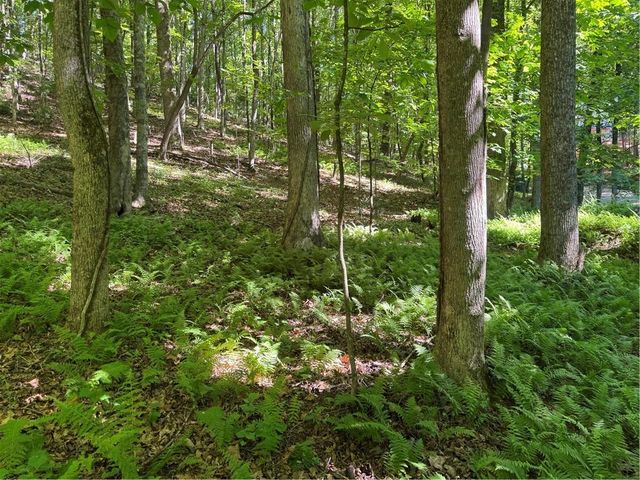0 Walhalla Court, Ellijay, GA 30540