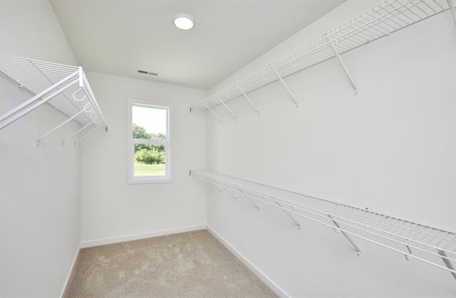 1069 NW Macarthur Lane, Waukee, IA 50263