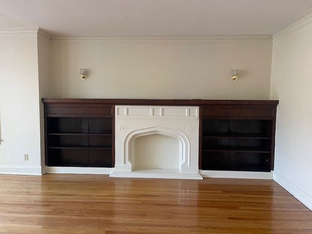 8141 S Michigan Avenue 1, Chicago, IL 60619