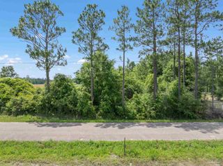 Lot 54 Mineral Springs Rd, Jay, FL 32565