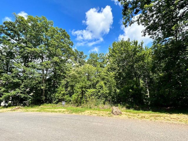 HP25 Old Toccoa Loop, Mineral Bluff, GA 30559