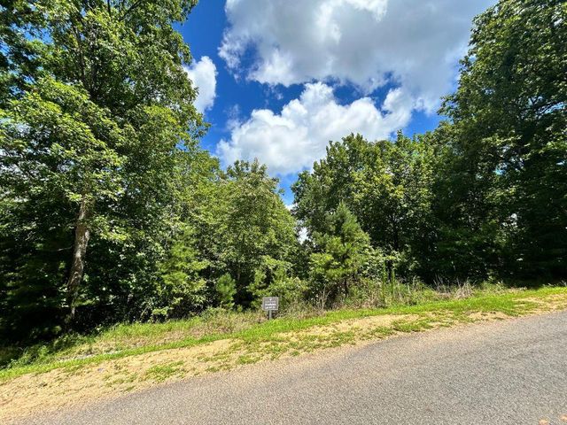 HP25 Old Toccoa Loop, Mineral Bluff, GA 30559