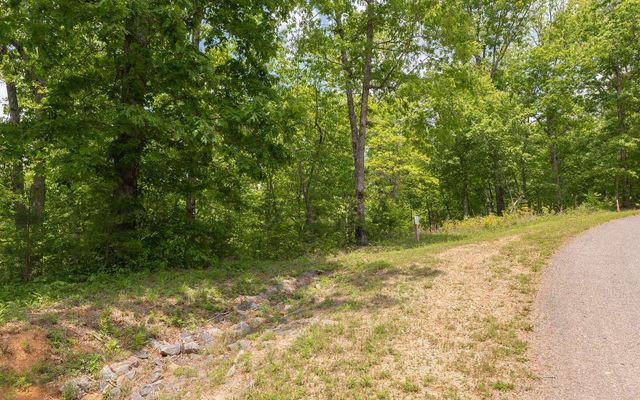 HP25 Old Toccoa Loop, Mineral Bluff, GA 30559