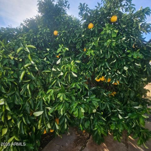 22855 W SUNSET Lane, Congress, AZ 85332