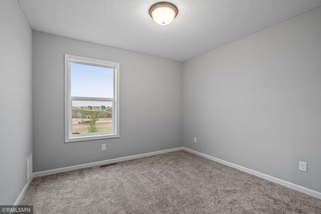16590 Ulysses Street NW, Elk River, MN 55330
