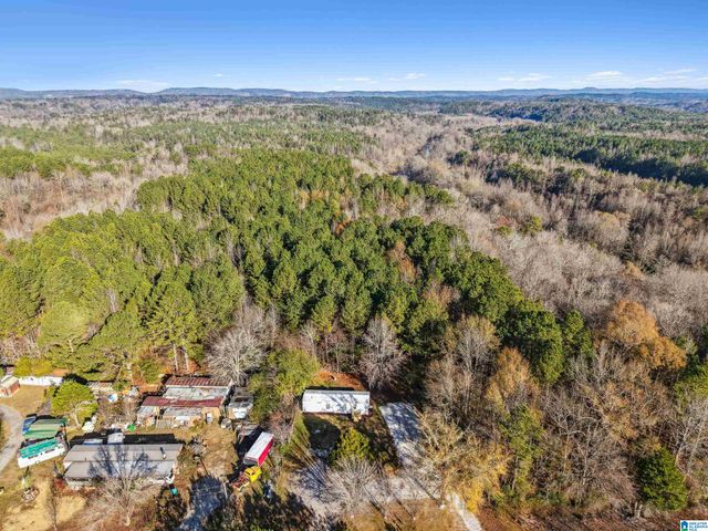 9783 BILL JONES ROAD, Kimberly, AL 35091