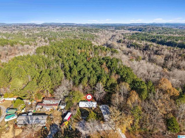 9783 BILL JONES ROAD, Kimberly, AL 35091