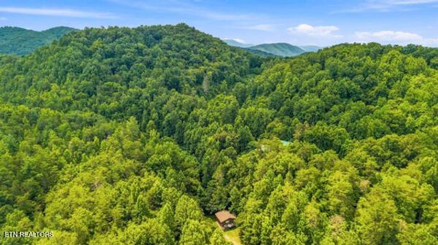 3694 Wilhite Rd, Sevierville, TN 37876