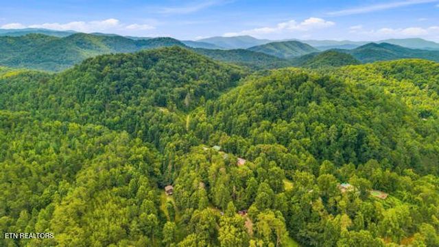 3694 Wilhite Rd, Sevierville, TN 37876