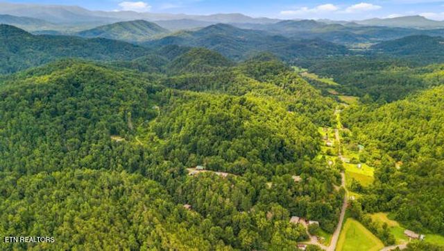 3694 Wilhite Rd, Sevierville, TN 37876