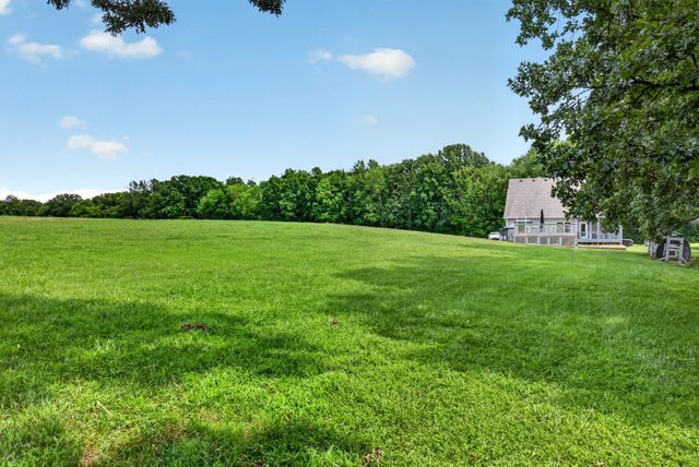 317 Alonzo Pl, Cunningham, TN 37052