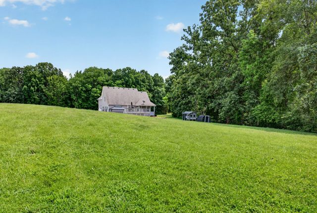 317 Alonzo Pl, Cunningham, TN 37052