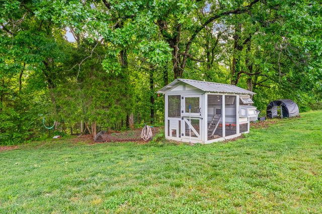 317 Alonzo Pl, Cunningham, TN 37052