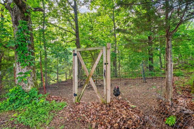 317 Alonzo Pl, Cunningham, TN 37052