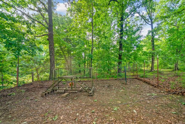 317 Alonzo Pl, Cunningham, TN 37052