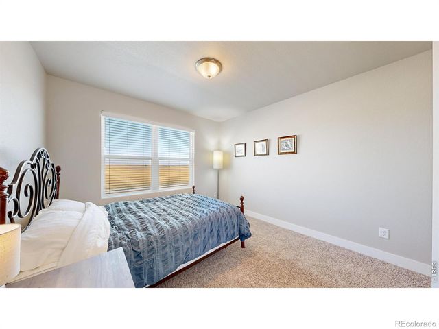 4985 Goya Court, Loveland, CO 80538