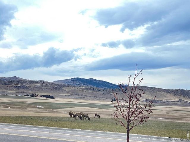 4985 Goya Court, Loveland, CO 80538