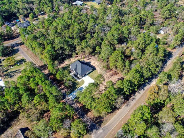 16081 Barn Owl Lane S, Plantersville, TX 77363
