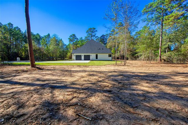 16081 Barn Owl Lane S, Plantersville, TX 77363