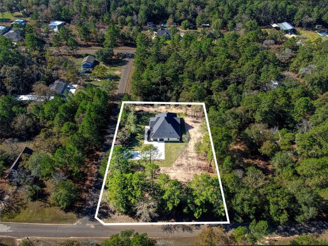 16081 Barn Owl Lane S, Plantersville, TX 77363