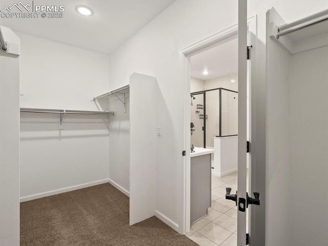 3044 Bivouac Point, Castle Rock, CO 80108