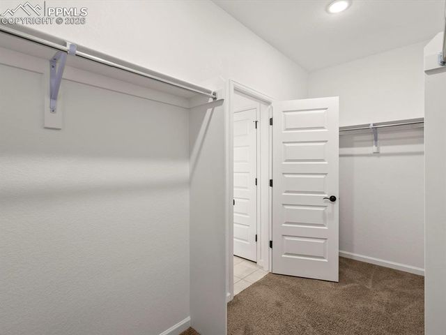 3044 Bivouac Point, Castle Rock, CO 80108