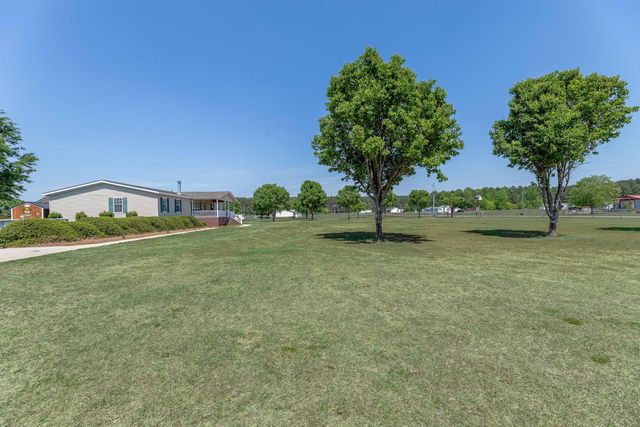 132 Avalon Court, Cope, SC 29038