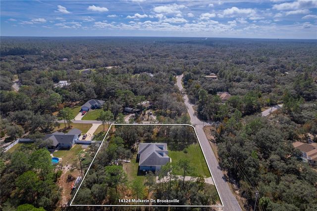 14324 MULKERIN DRIVE, Weeki Wachee, FL 34614