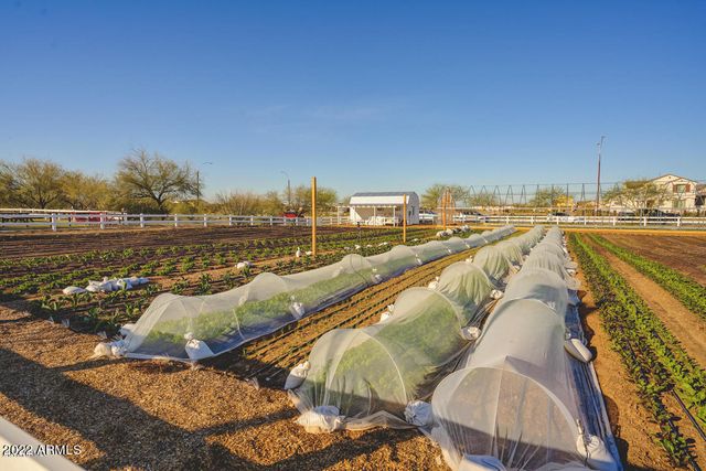 9833 E STRATUS Avenue, Mesa, AZ 85212