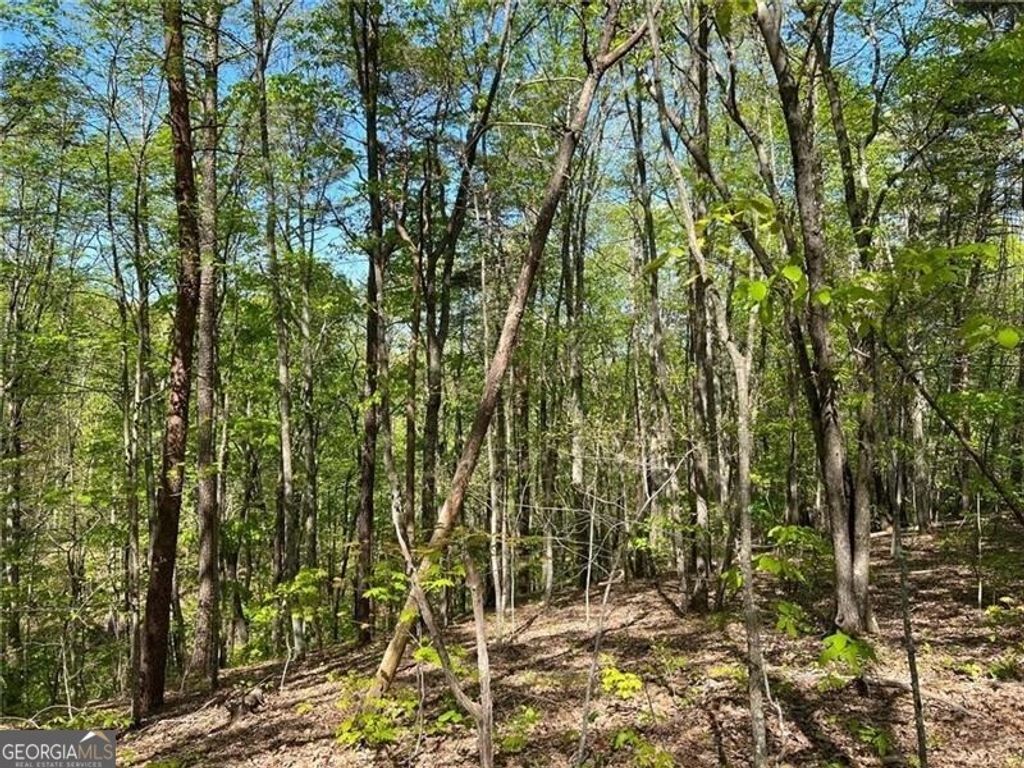 269 Appleberry Mountain Road, Waleska, GA 30183