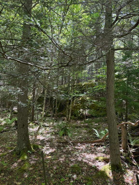 63 Sebasco Road, Phippsburg, ME 04562 — photo 3