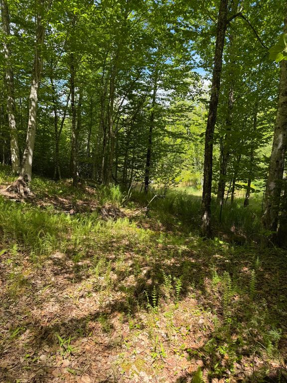 63 Sebasco Road, Phippsburg, ME 04562 — photo 5