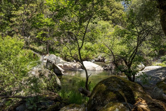 14772 River Ln, River Pines, CA 95675