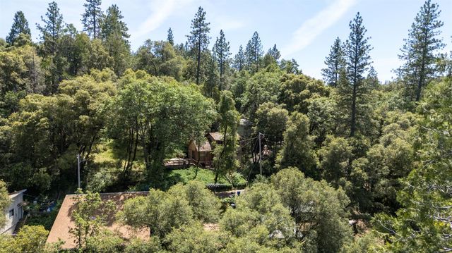 14772 River Ln, River Pines, CA 95675