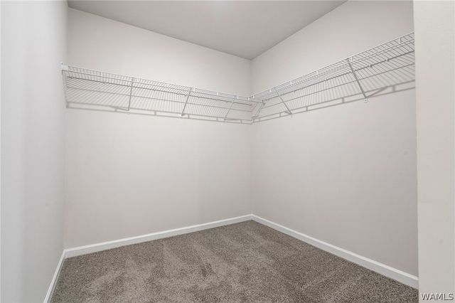 10426 Patton, Tuscaloosa, AL 35405