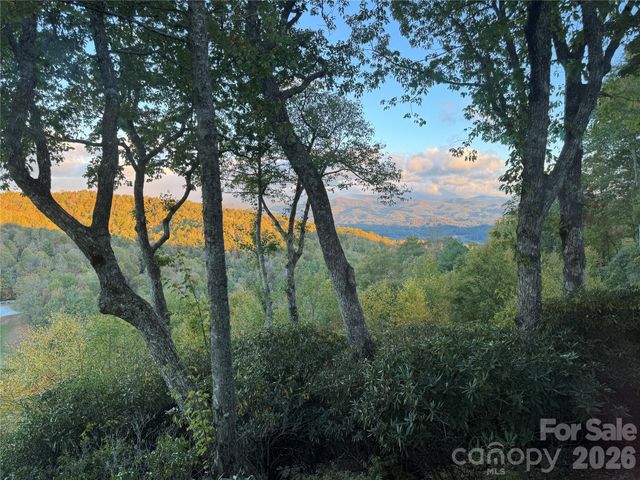 298 Tinequa Drive, Brevard, NC 28712