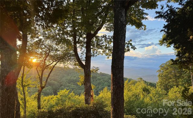 298 Tinequa Drive, Brevard, NC 28712