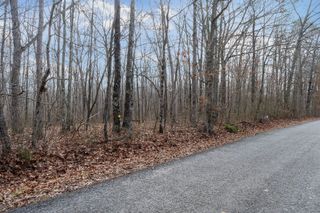 0 Wash Roberts Road, Mc Minnville, TN 37110