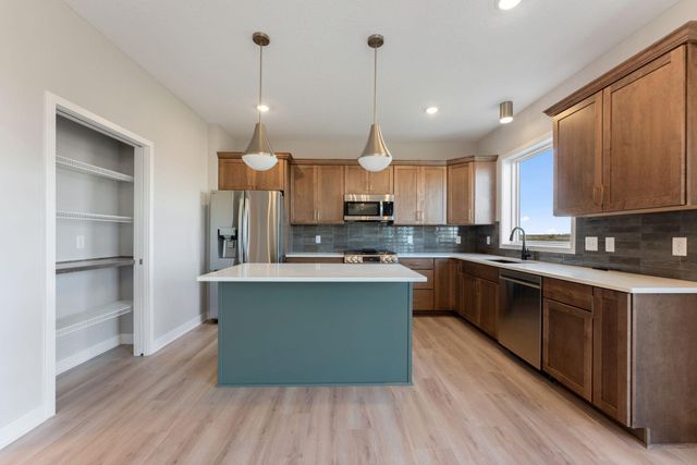 15029 Ardmullivan Lane, Rosemount, MN 55068