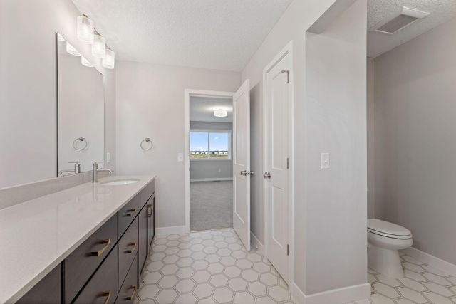 15029 Ardmullivan Lane, Rosemount, MN 55068