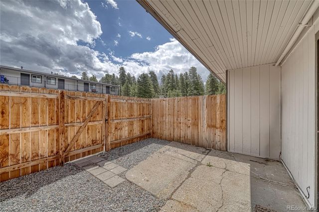 921 Mt Massive Drive 23, Leadville, CO 80461