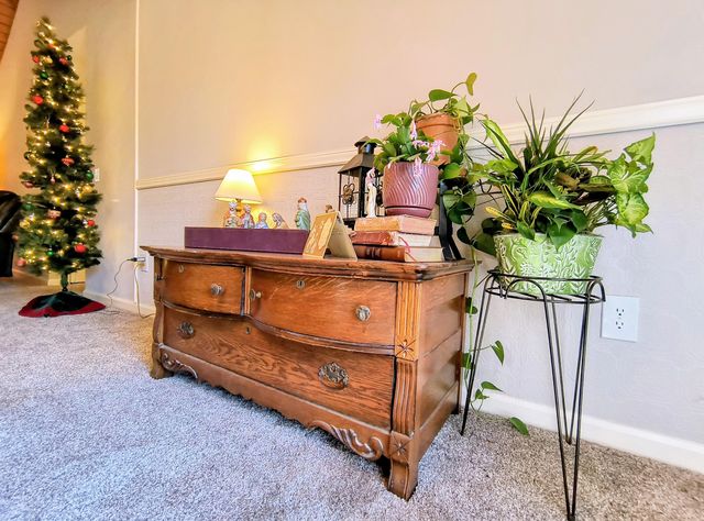 6015 Parsons Pond Drive, Ooltewah, TN 37363