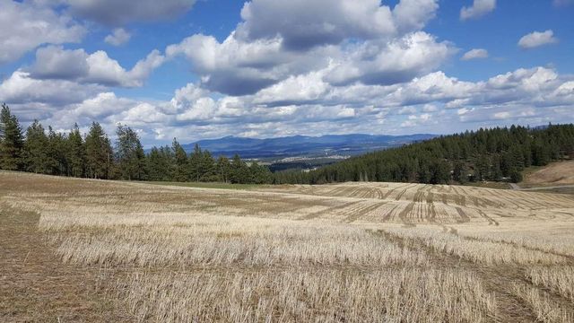 16419 N Dalton Rd, Spokane, WA 99208