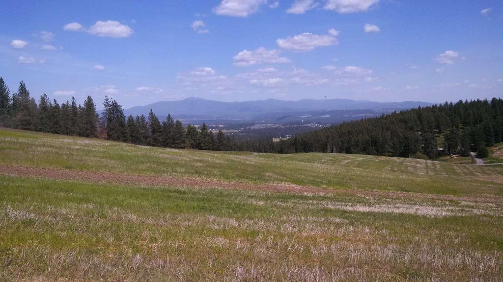 16419 N Dalton Rd, Spokane, WA 99208