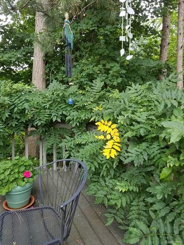 6579 Balmoral Terrace, Clarkston, MI 48346