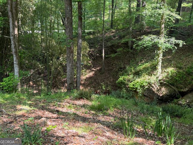 20 Clark Hill Road, Newnan, GA 30263
