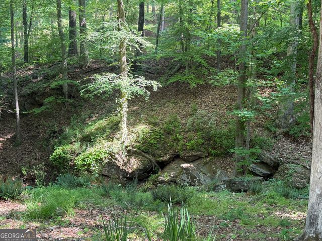 20 Clark Hill Road, Newnan, GA 30263