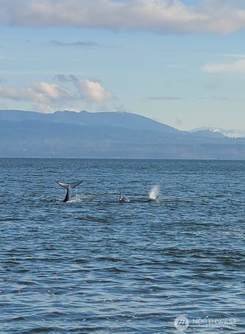 2123 Stoney Beach Lane, Oak Harbor, WA 98277