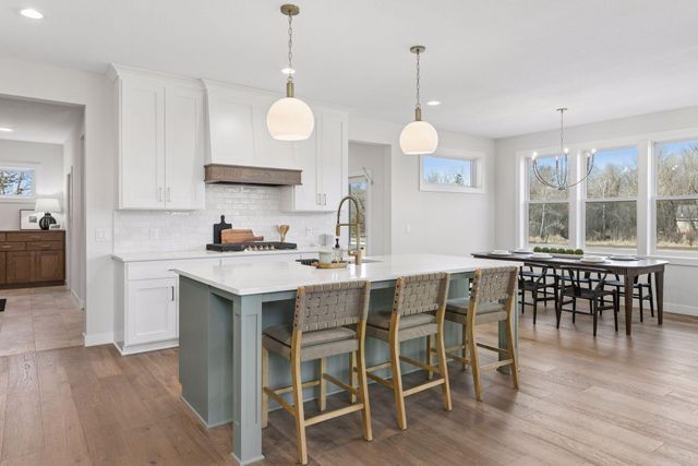 18505 Jabiru Path, Lakeville, MN 55044