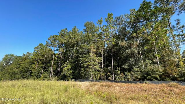 Highway 49, Wiggins, MS 39577